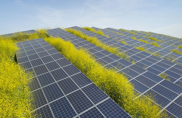 L'agrivoltaïsme à Toulouse : un pas vers l'avenir durable